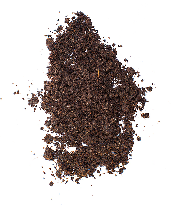Dirt-2 (1)